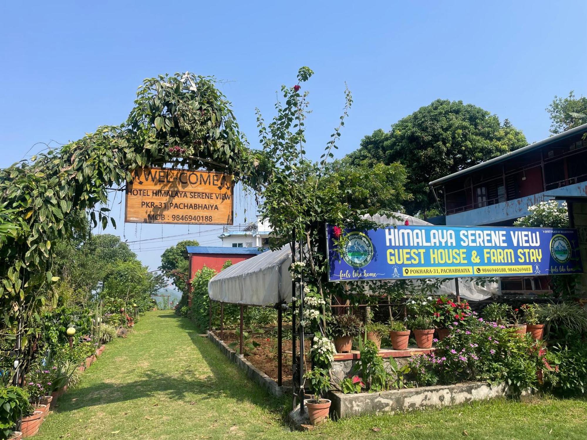 Himalaya Serene View Guest House & Farm Stay Deorāli Eksteriør bilde