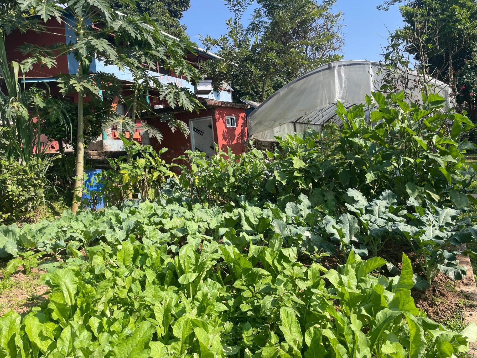 Himalaya Serene View Guest House & Farm Stay Deorāli Eksteriør bilde