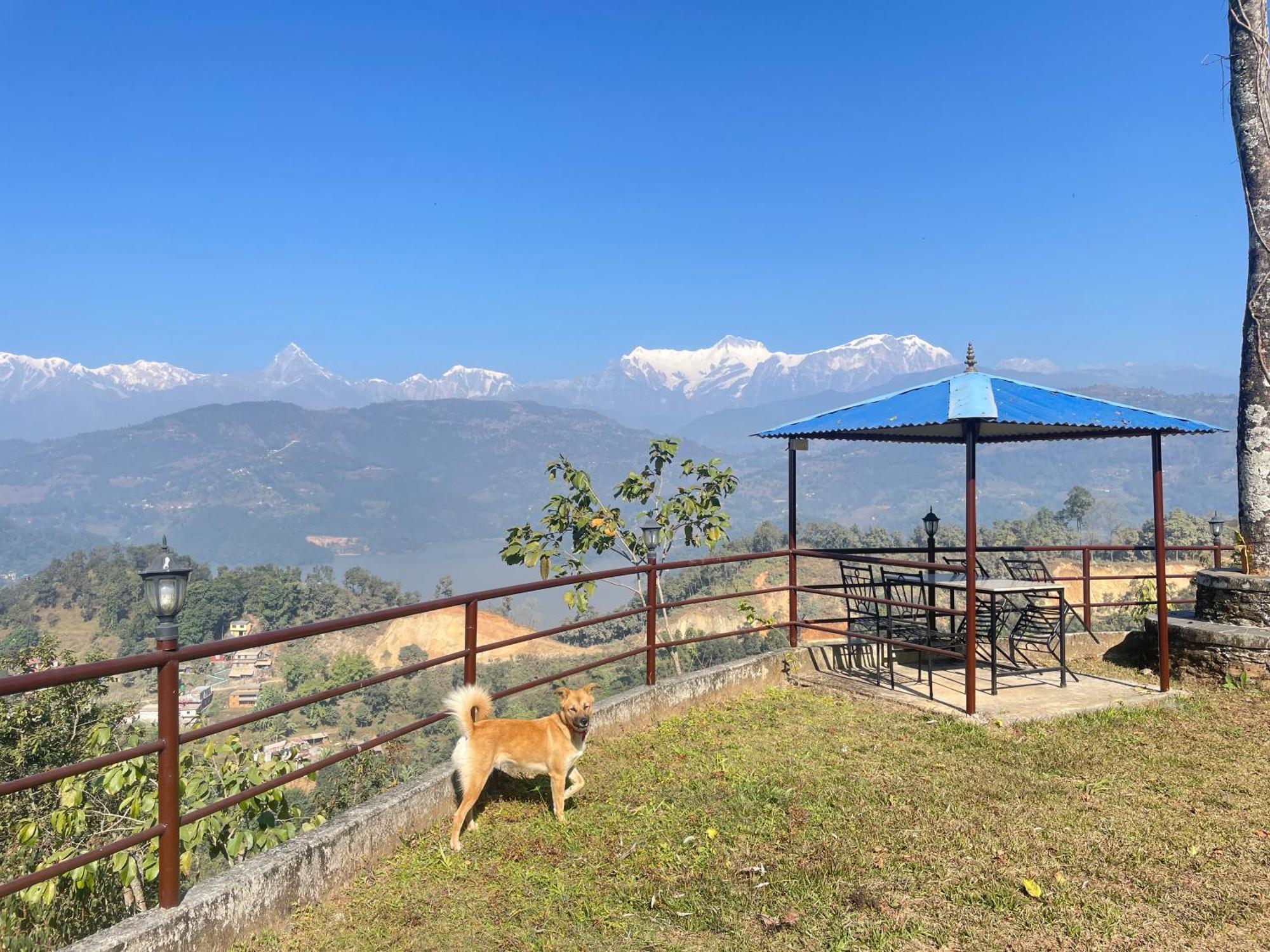 Himalaya Serene View Guest House & Farm Stay Deorāli Eksteriør bilde